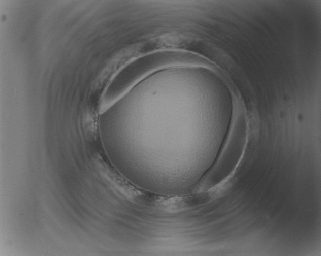 X0000051920186200507082104