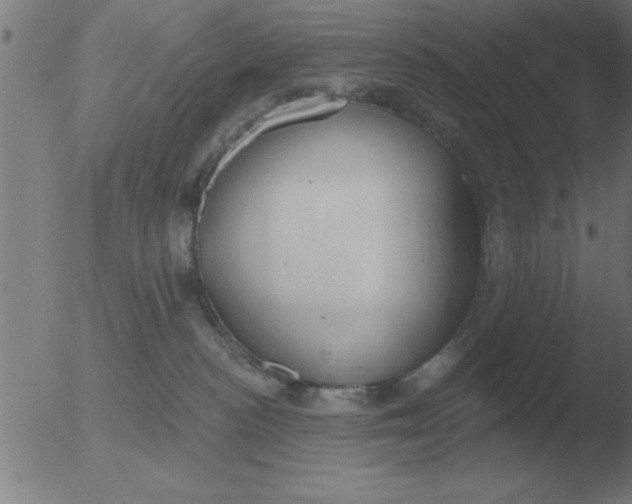 X0000051920188200507082104