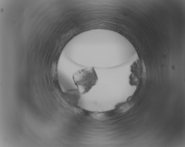 X0000051920189200507082104