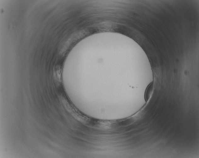 X0000051920190200507082104