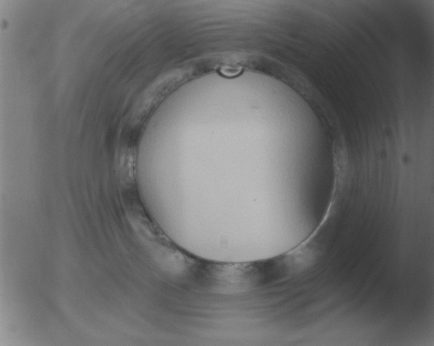 X0000051920191200507082104