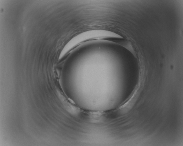 X0000051920192200507082104