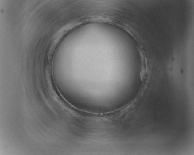 X0000051920193200507082104