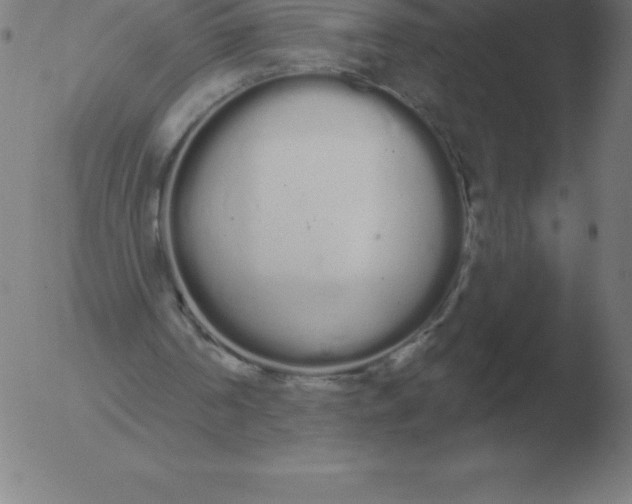 X0000051920194200507082104