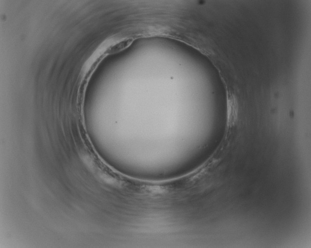 X0000051920195200507082103