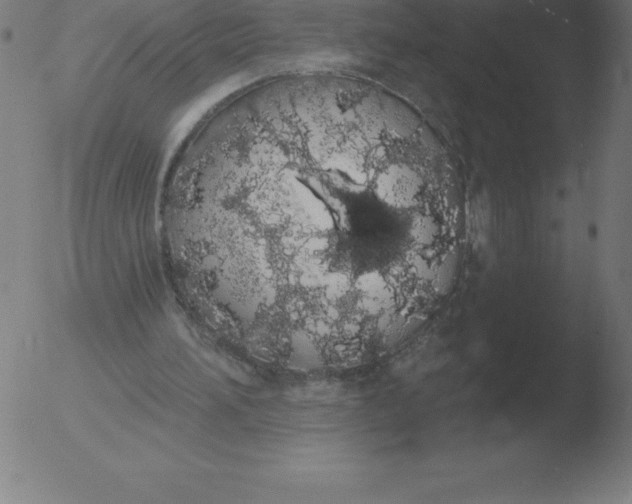 X0000051920196200507082103