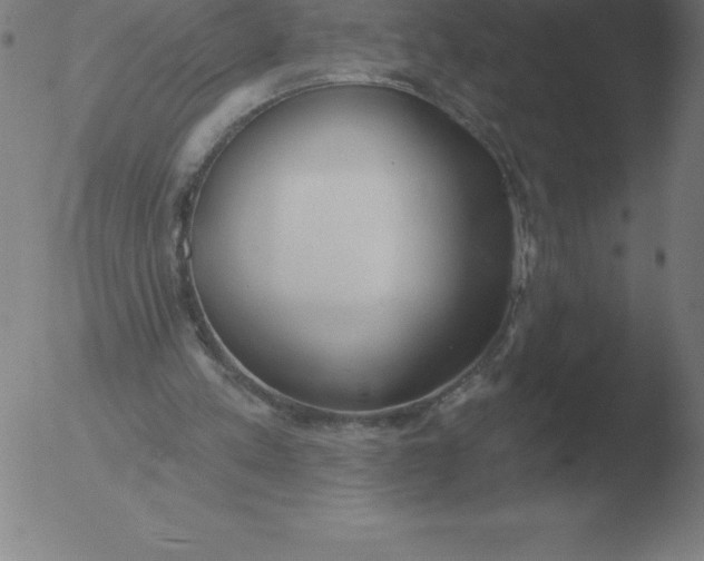 X0000051920197200507082103