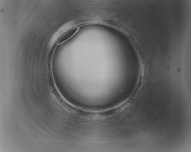 X0000051920198200507082103