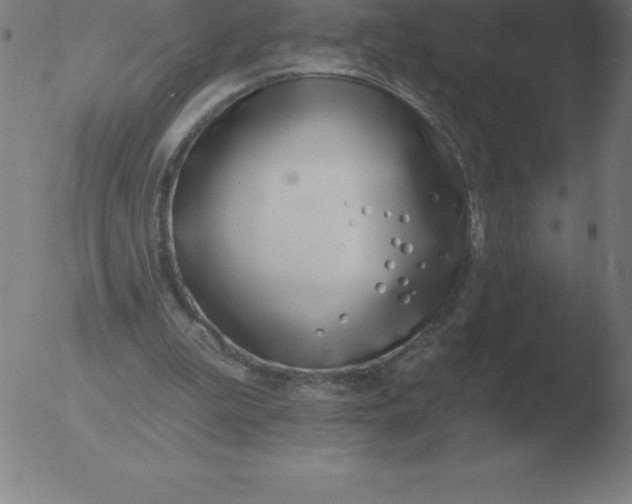 X0000051920199200507082103