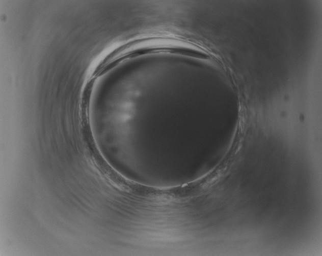 X0000051920200200507082103