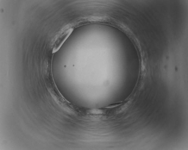 X0000051920201200507082103