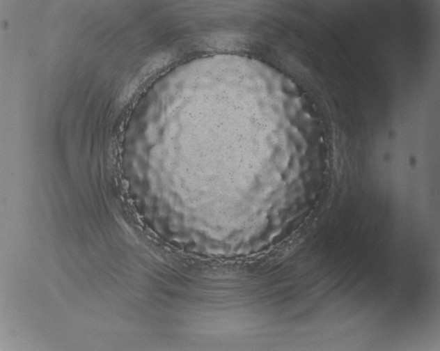 X0000051920202200507082103