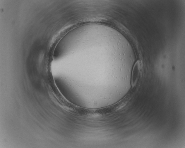 X0000051920203200507082103