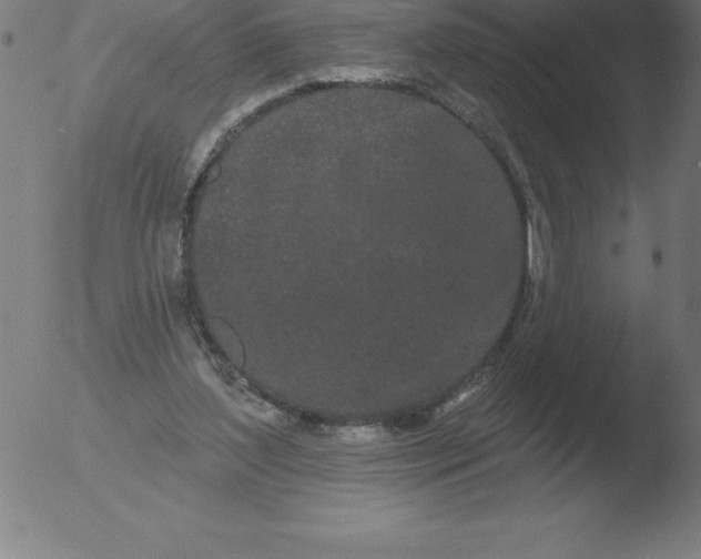 X0000051920204200507082103