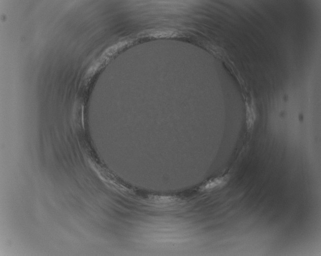 X0000051920205200507082103