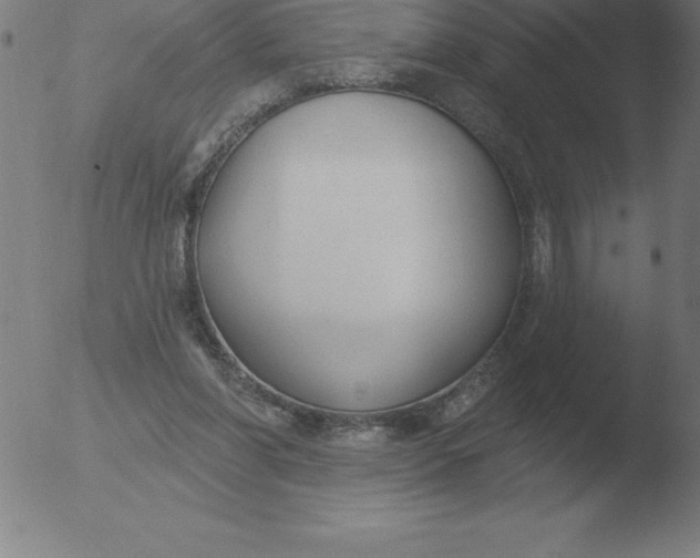 X0000051920206200507082103