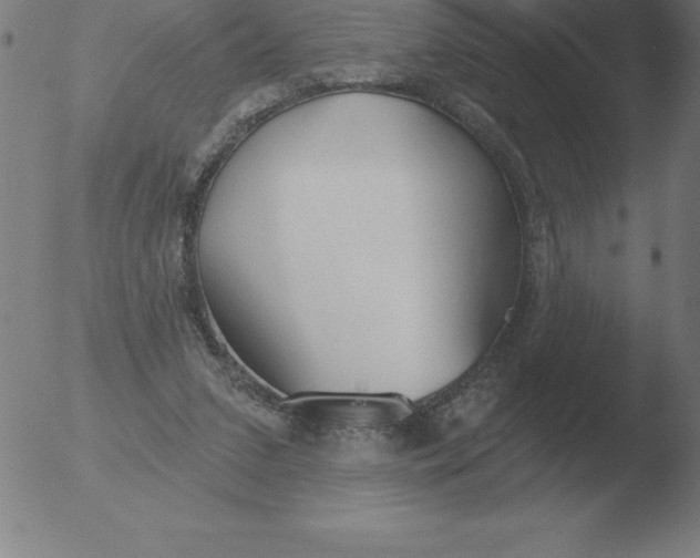 X0000051920207200507082103