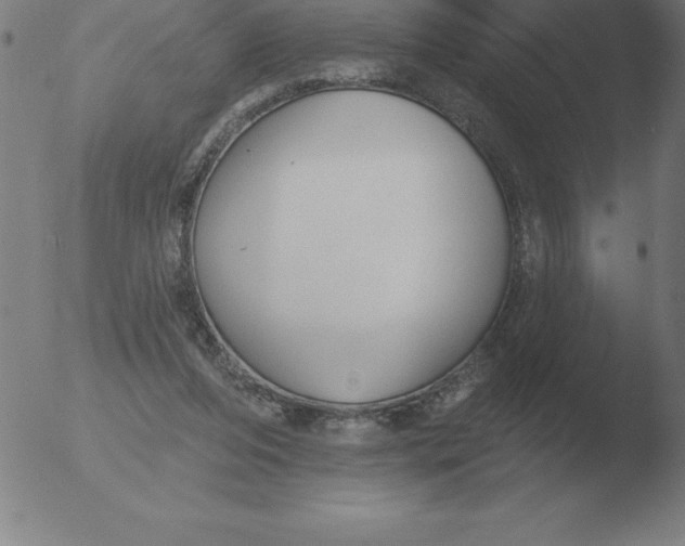 X0000051920208200507082103