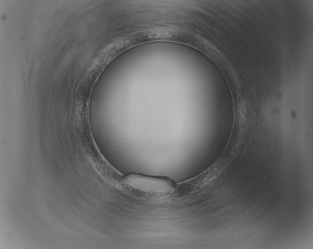 X0000051920209200507082103