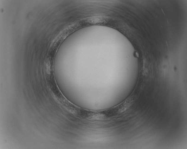 X0000051920210200507082103