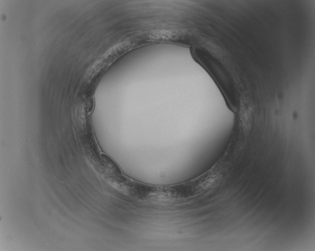 X0000051920211200507082103