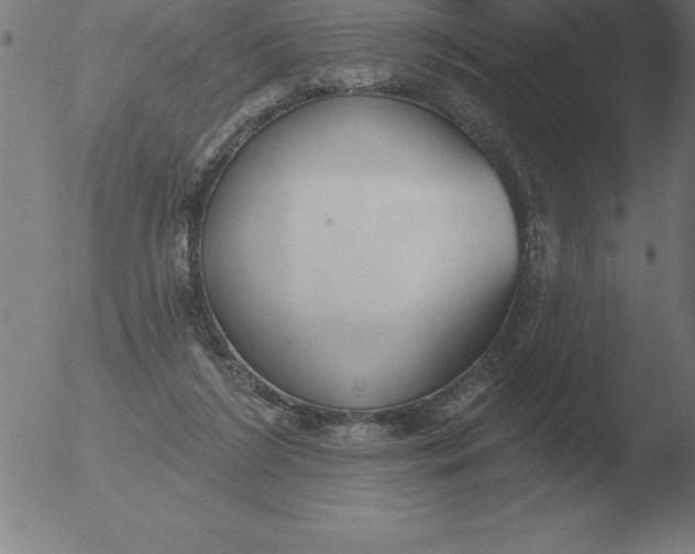 X0000051920212200507082103