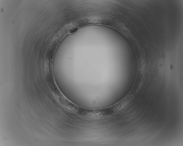 X0000051920213200507082103