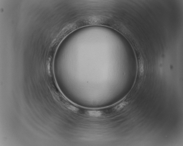 X0000051920214200507082103