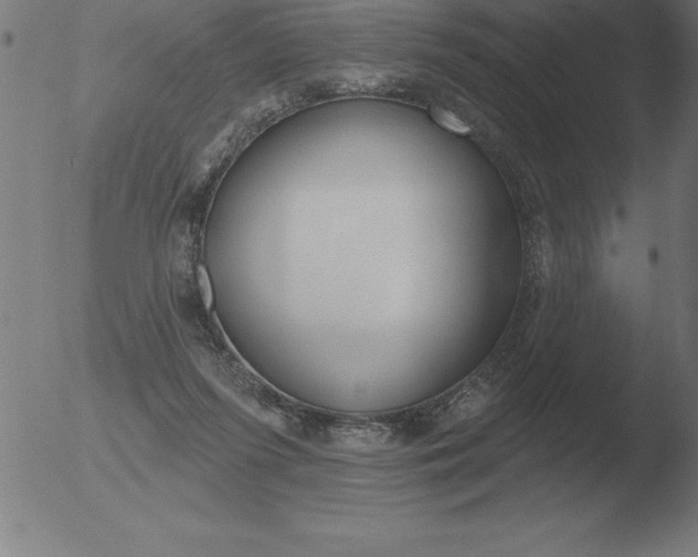 X0000051920215200507082103