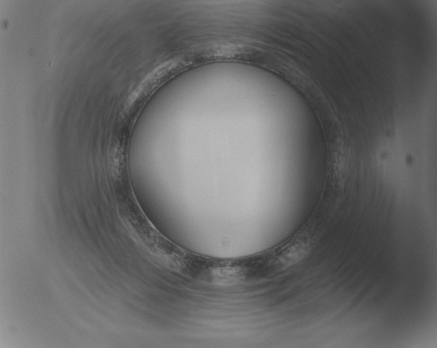 X0000051920216200507082103