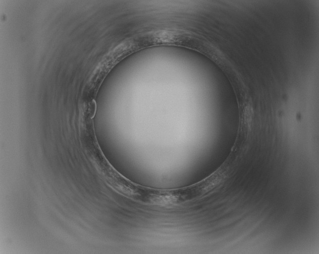 X0000051920217200507082103