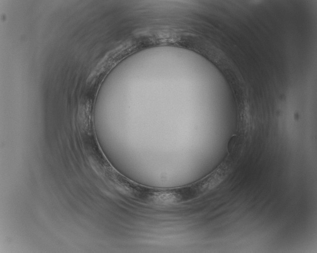 X0000051920218200507082103