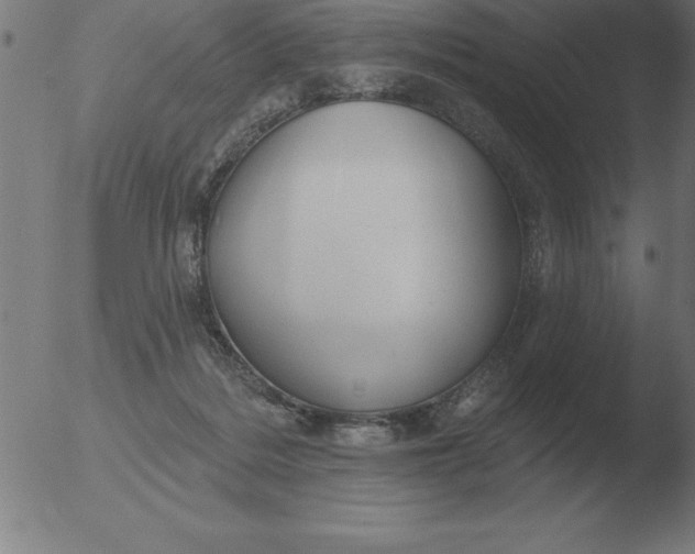 X0000051920220200507082103