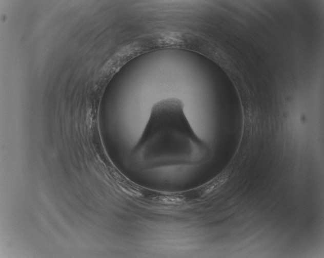 X0000051920223200507082103