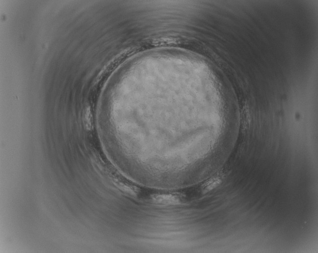 X0000051920224200507082103