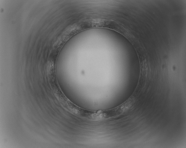 X0000051920225200507082103