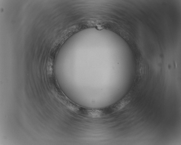 X0000051920226200507082103