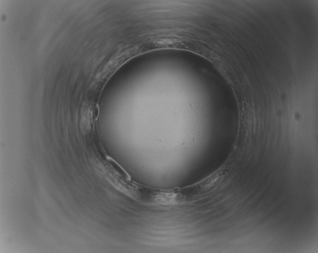 X0000051920227200507082103