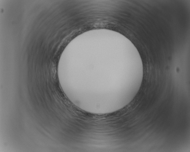 X0000051920228200507082103