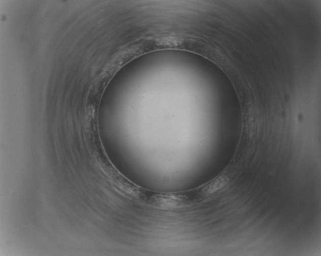 X0000051920229200507082103