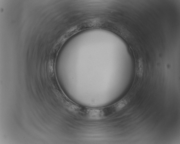 X0000051920230200507082103