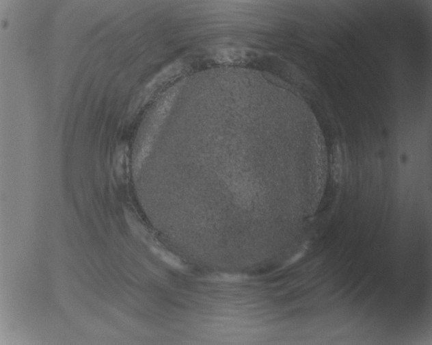 X0000051920233200507082103