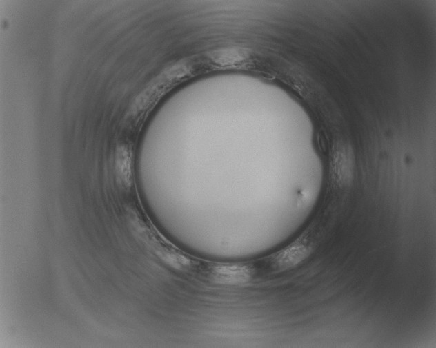 X0000051920234200507082103