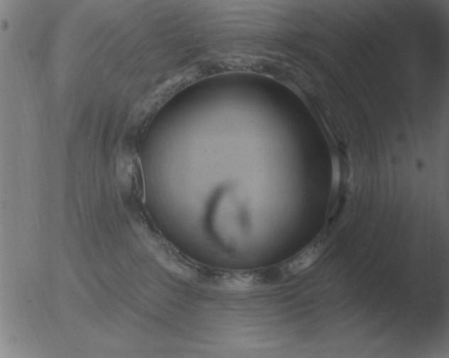 X0000051920235200507082103