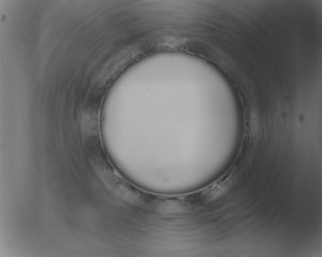 X0000051920236200507082103