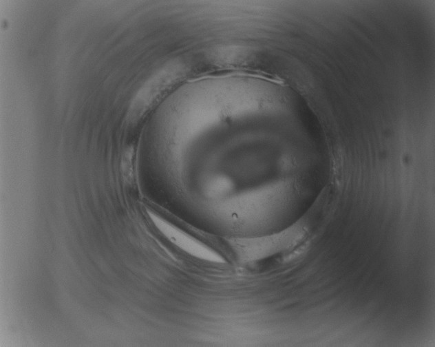 X0000051920239200507082103