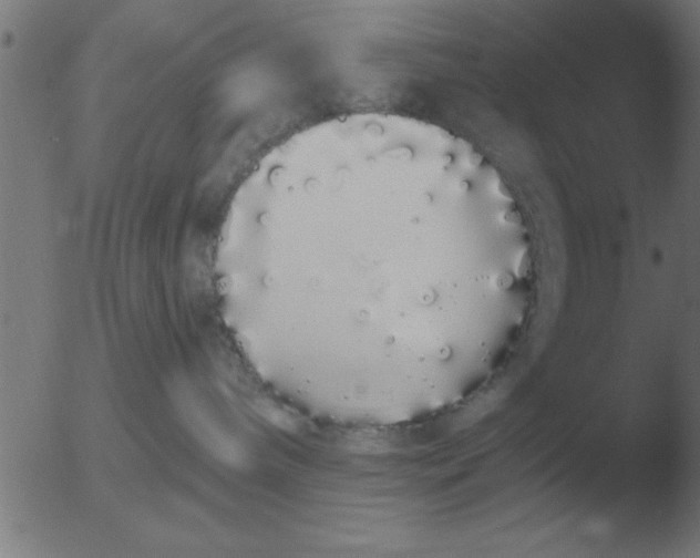 X0000051920240200507082103