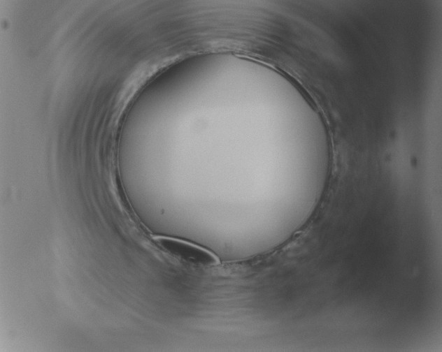 X0000051920241200507082102