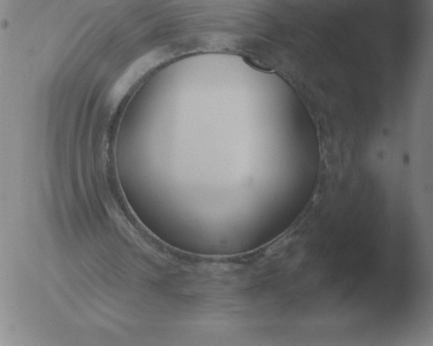 X0000051920242200507082102