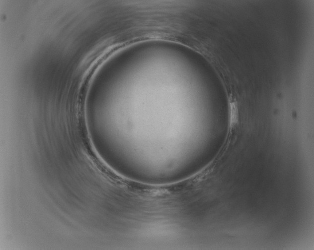 X0000051920243200507082102